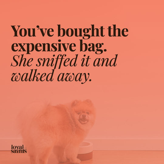 You bought the expensive bag. She sniffed it and walked away.
