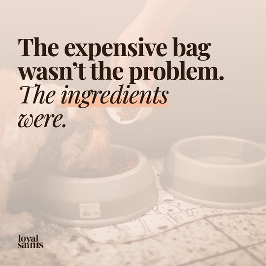 The expensive bag wasn’t the problem. The ingredients were.