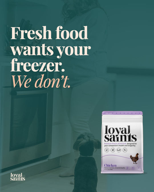 Fresh food wants your freezer. We don’t.