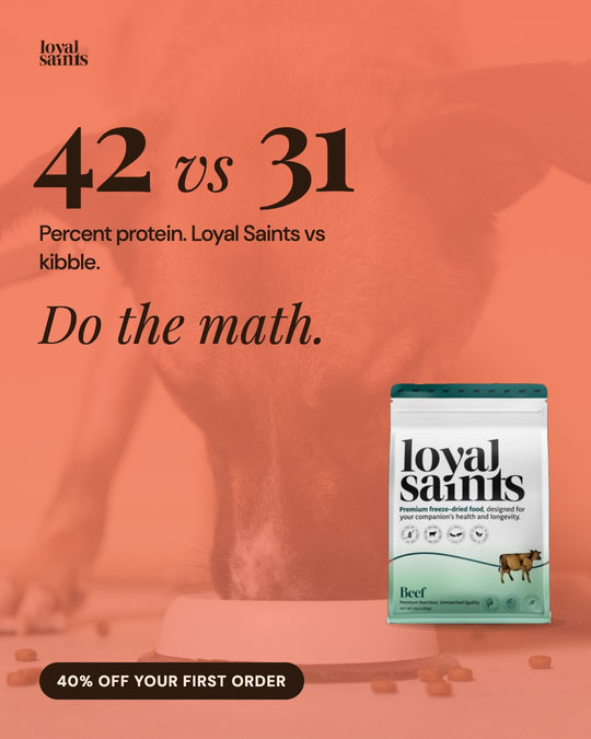 42 against 31 percent protein. Do the math.