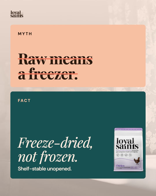 Myth: raw means a freezer. Fact: freeze-dried, not frozen.