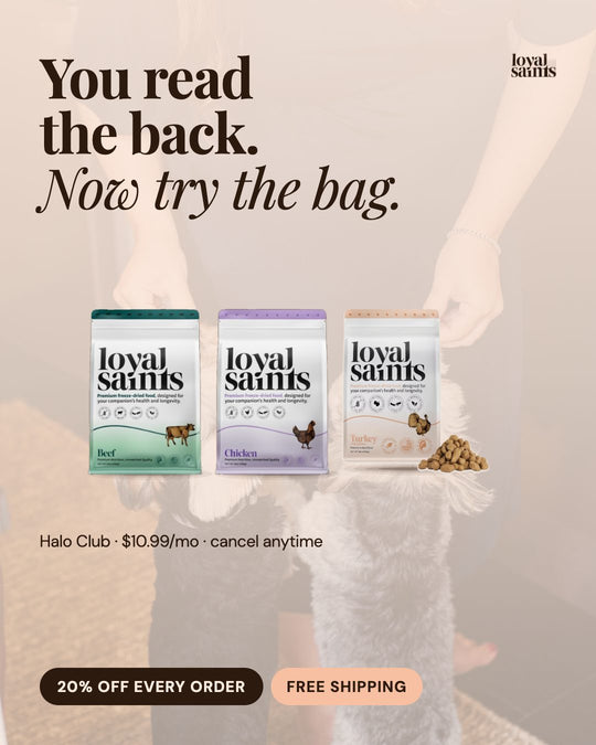You read the back. Now try the bag.