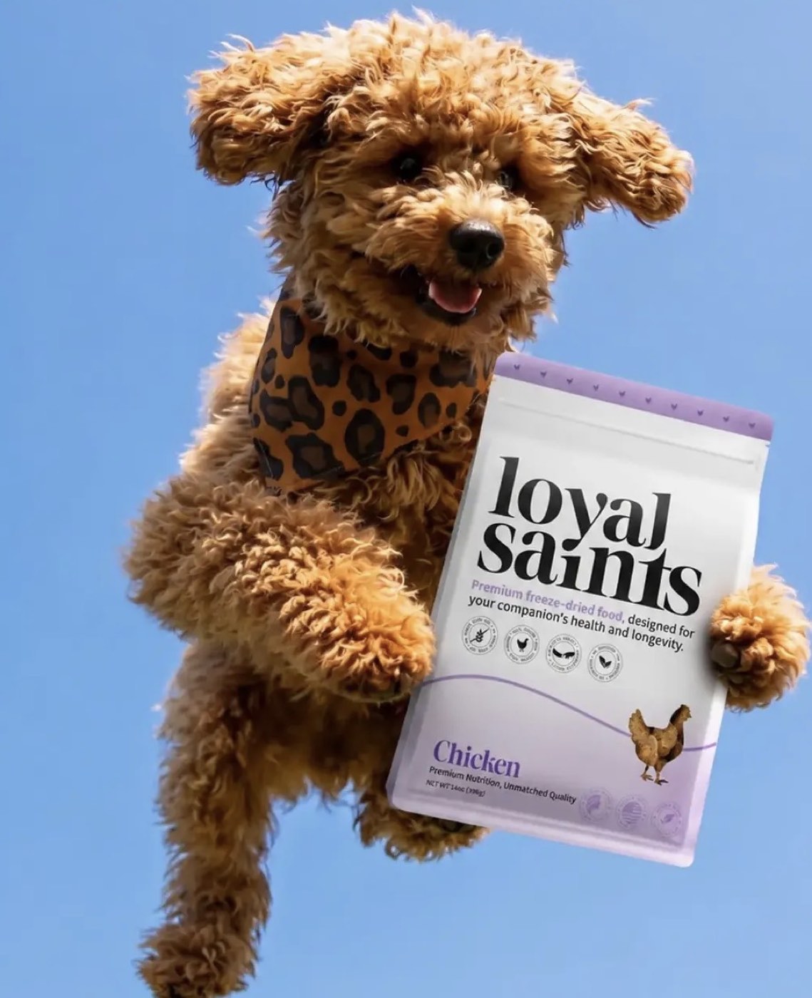 Happy dog with Loyal Saints
