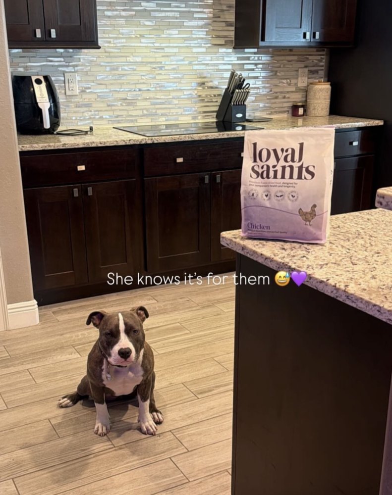 Loyal Saints — human-grade freeze-dried raw dog food