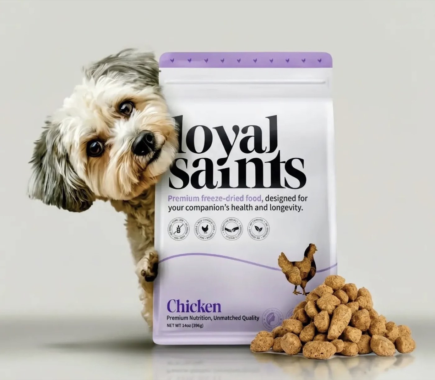 Happy dog with Loyal Saints